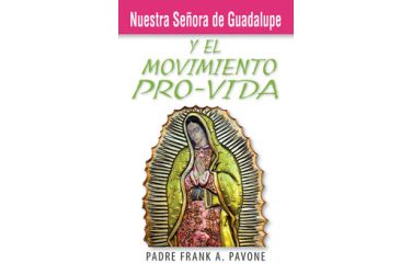 Nuestra Señora de Guadalupe y el movimiento pro-vida