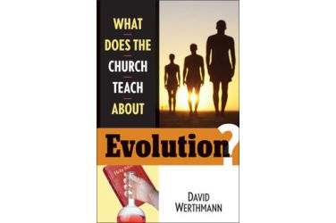 What Does the Church Teach About Evolution?