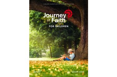 Journey of Faith for Children, Leader Inquiry