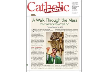 A Walk Through the Mass