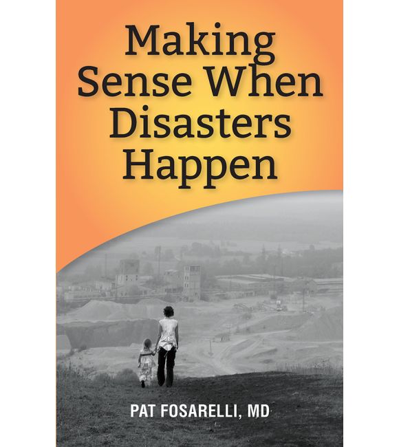 Making Sense When Disasters Happen